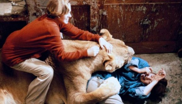 Borzongás a kastélyban