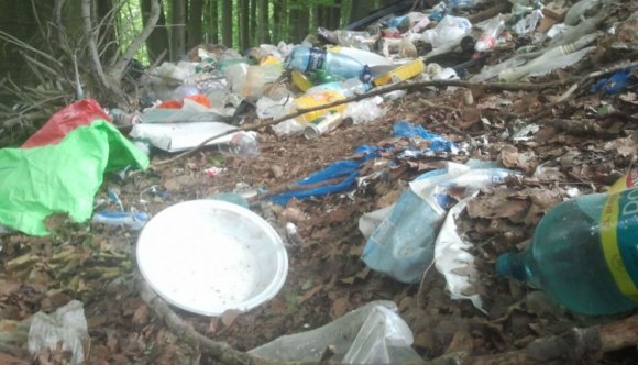 Kamerákkal vadásznak a szemetelő piknikezőkre Aradon