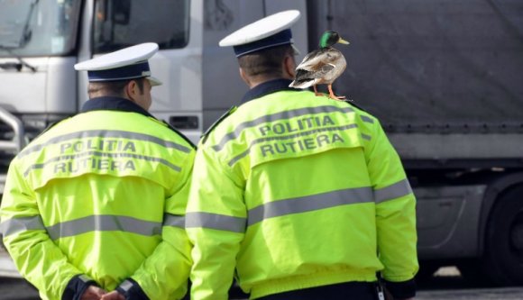 Ilyen jó rendőrt még nem látott! (VIDEÓ)