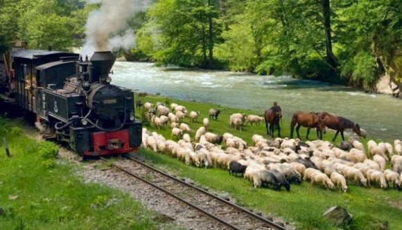 Újraindul a Mokanyica az Aranyos-völgyében