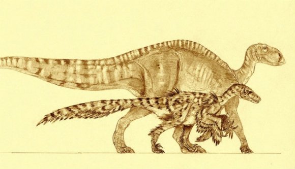Új őshüllőt fedeztek fel Erdélyben