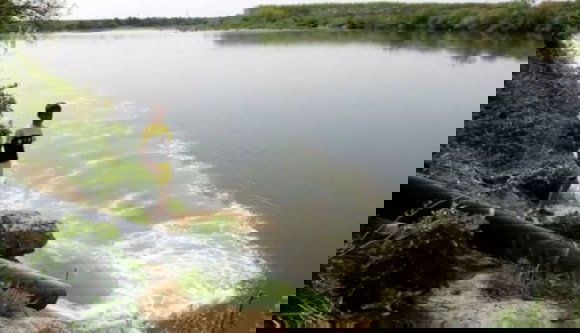 Horrorisztikus adatok jöttek ki a Szamos szennyezettségének mérésekor