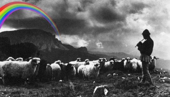 Hova lett a román országprojekt?