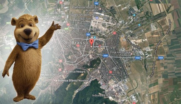 És van egy újabb medvés hírünk...