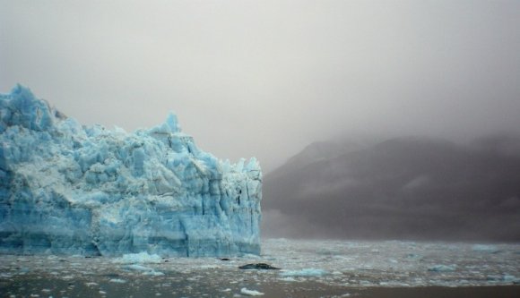 A Európai Parlament szintet lépett a párizsi egyezményért