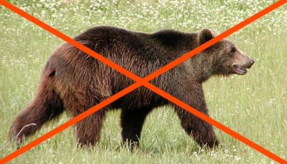 Medveellenes tüntetés lesz Bukarestben