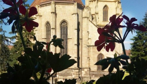 Felvirágoztatja Kolozsvárt a Városszépítő Egylet