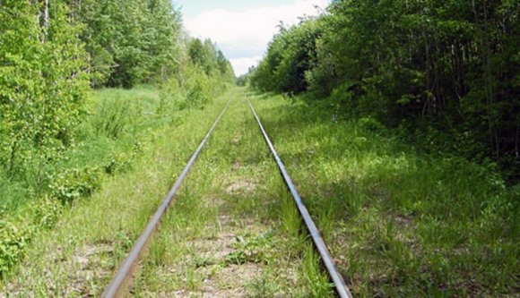 Magyar hadifoglyok maradványai is előkerültek Kirovban