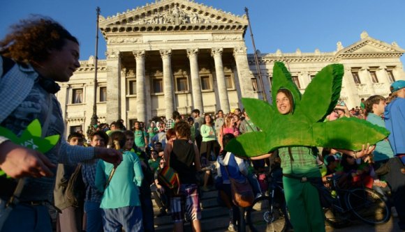 Megjelent a nem gyógyászati célú, „rekreációs” marihuána a gyógyszertárakban!