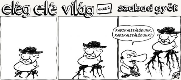 Elég elé világ – 4. évad, 62. epizód