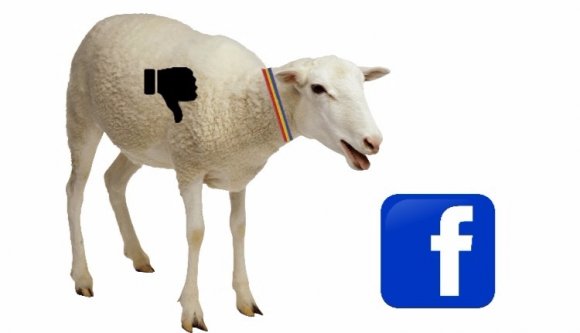 Itt az „oltyán” Facebook