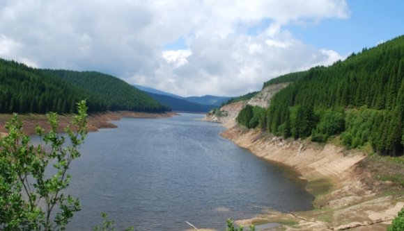 Vipera mart meg egy embert a Kudzsiri-havasokban