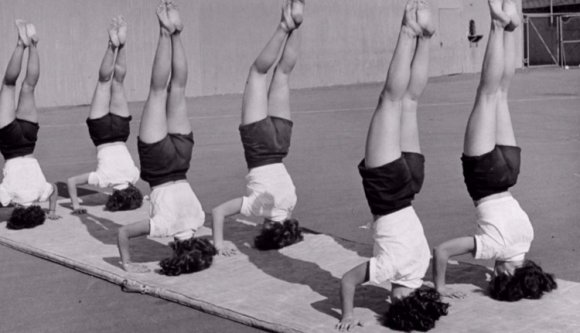 Csak vicc volt a tesitankönyv?