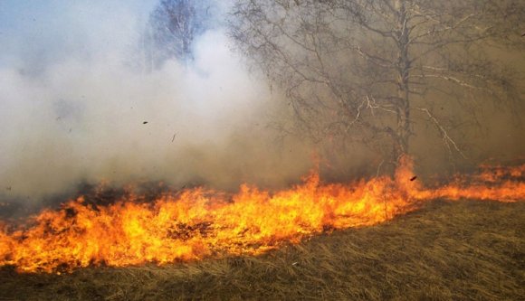 Ég az erdő a Hargitán