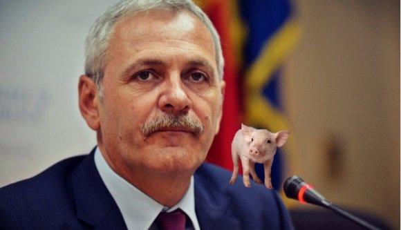 Dragnea, disznók, dollárok