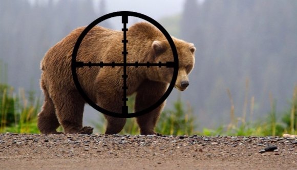 A Román Akadémia áldását adta a medvék és farkasok megtizedelésére