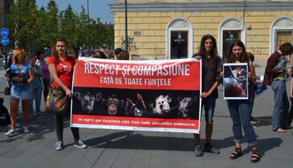 Ha vegán vagy, nem lehetsz rasszista