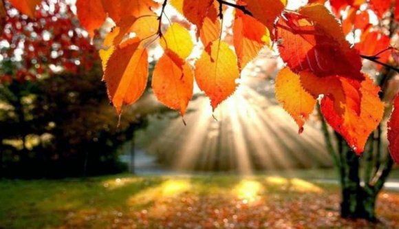 Az átlagosnál melegebb őszre számíthatunk