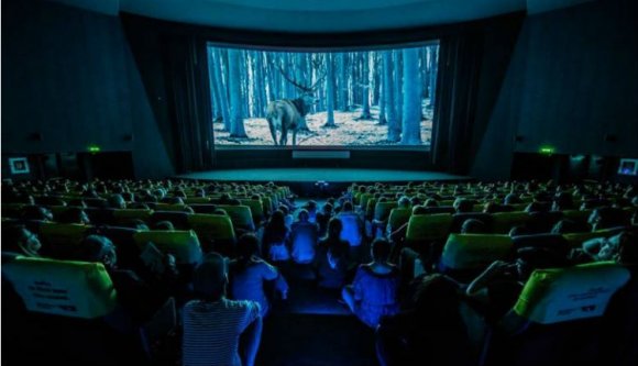 Enyedi Ildikó filmje a magyar Oscar-jelölt