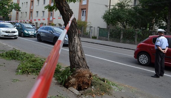 Így takarítottak Kolozsváron az „erdélyi Irma” nyomán (FOTÓK)