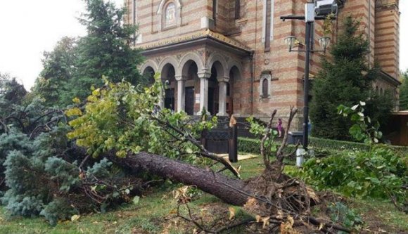 Temesvár legyen ismét szép!