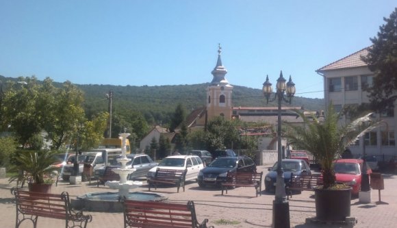 Alattomos trükkel vágták ki az aradi vértanúk emlékfáit Borossebesen