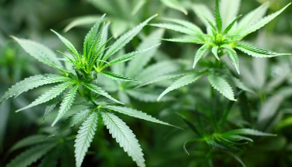 Íme a bizonyíték, hogy pandúrból lesz a legjobb rabló