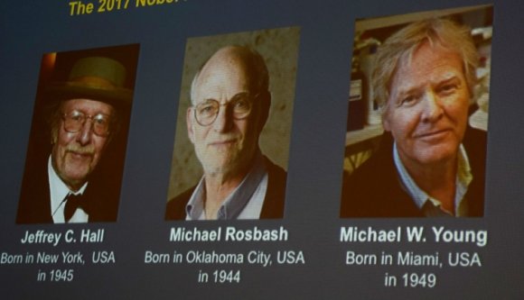 A „napi biológiai órát” kutató tudósoké az orvosi Nobel-díj