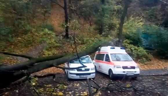 Mentőautókra zuhant egy fa