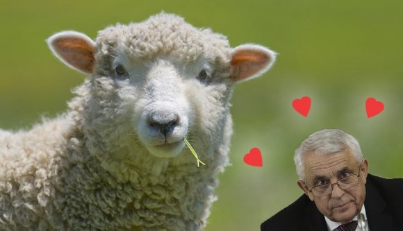 A juhmániás mezőgazdasági miniszter gyapjas kedvencét népszerűsíti