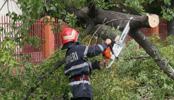 Több tucat fát döntött ki a szél Bukarestben