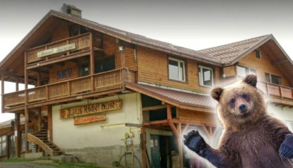 Cukorkát lopott egy medve egy menedékházból