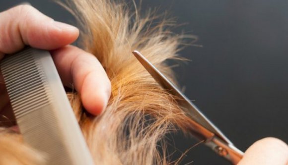 Megint zavart egy tanárt a diákok haja – ollóval esett a fiúknak