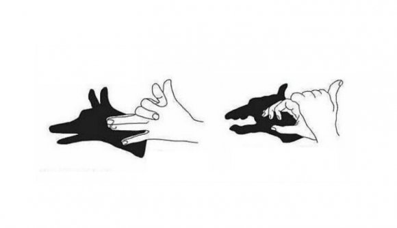 Találja ki, milyen állat sétált be egy brassói bevásárlóközpontba