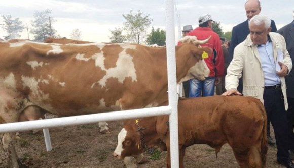 Az agrárminiszter nem érti, miért drágultak az élelmiszerek