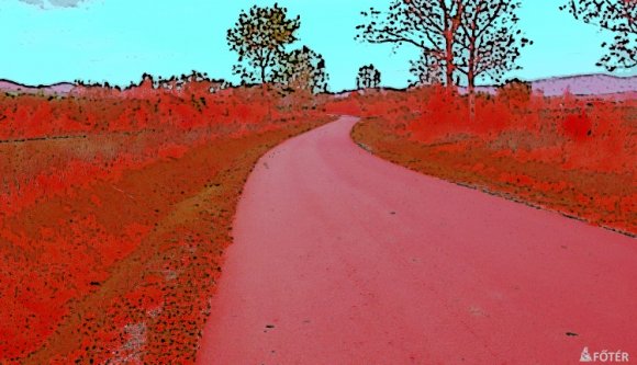 Bedrogozva vezetett egy férfi Szatmár megyében