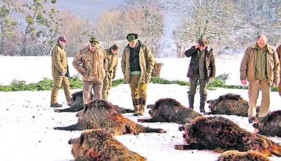 Ma zajlott le Ion Țiriac messze földön híres vaddisznóvadászata