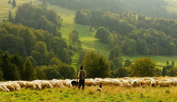 Megéri majd a cégeknek fiatalokat alkalmazni a mezőgazdaságban