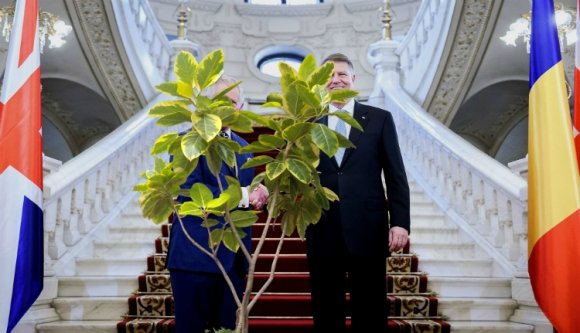Klaus Iohannis, egy fikusz a Cotroceni-palotában?