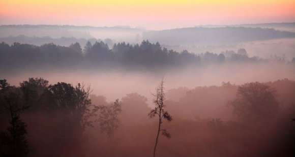 Figyelem: belső-Erdélyben köd nehezíti a forgalmat