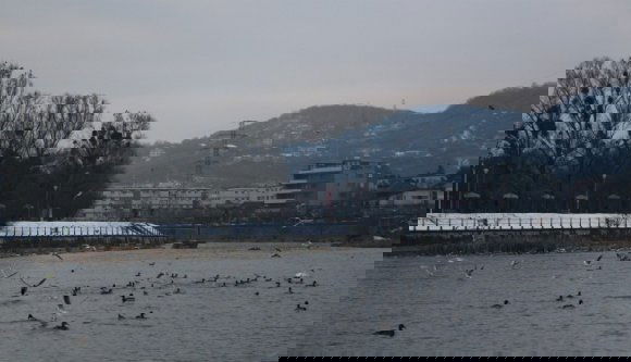 Szeles időjárással búcsúzik 2017