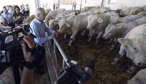 Mivel szédíti a PSD a polgármestereket
