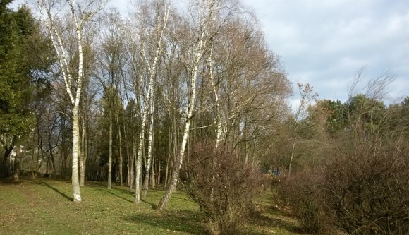 Meleg szilveszterünk lesz