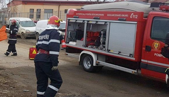 Tüzet és rövidzárlatot okozott egy kutya