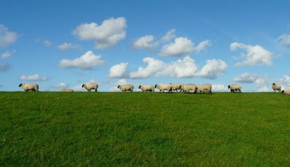 Fantomlegeltetéssel nyúlt le uniós pénzeket az ortodox pap Nagysinken
