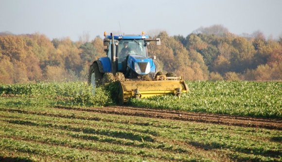 Terebélyesedik a határon túli falugazdász hálózat