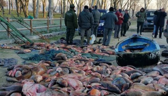 Román orvhalászok megszabadítottak a teljes halállománytól egy olaszországi tavat (FOTÓK)