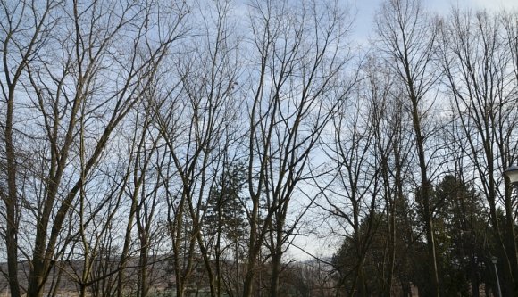 Viharossá erősödik a szél