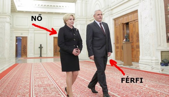 Van az Ön cégénél esélyegyenlőségi szakértő?