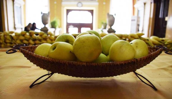 Jöhetnek a gyümölcsök az iskolákba